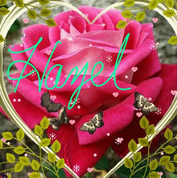 Meet your Posher, Hazel - Picture 1 of 1